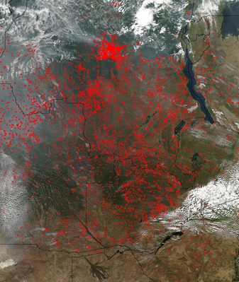 Modis image of the day