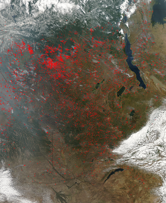 Modis image of the day