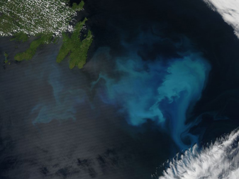 Modis image of the day