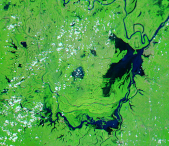Modis image of the day
