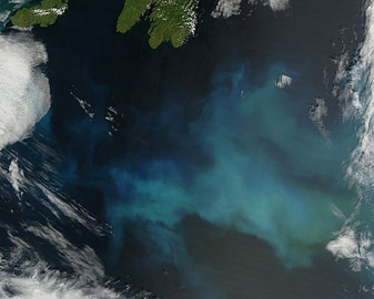 Modis image of the day