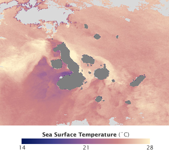 Modis image of the day