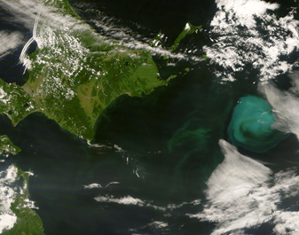 Modis image of the day