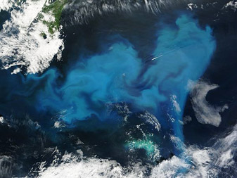 Modis image of the day