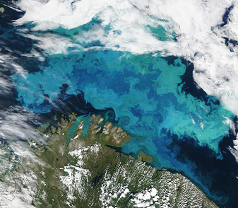 Modis image of the day