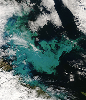 Modis image of the day