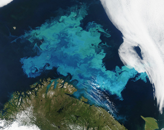 Modis image of the day