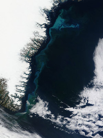 Modis image of the day