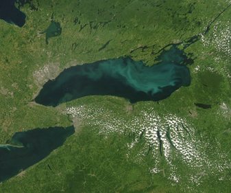 Modis image of the day
