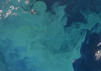 Modis image of the day