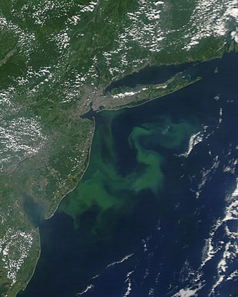 Modis image of the day