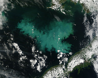 Modis image of the day