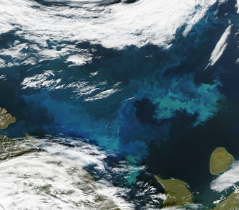 Modis image of the day
