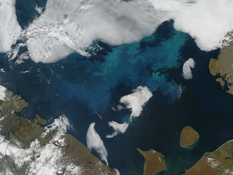 Modis image of the day
