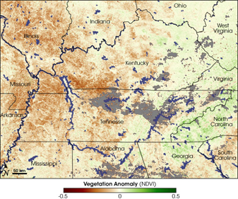 Modis image of the day