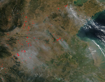 Modis image of the day