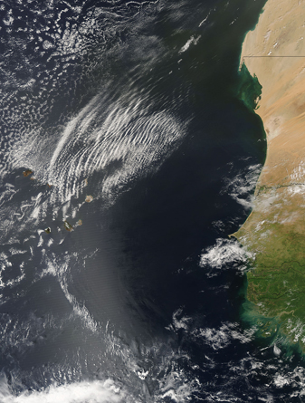 Modis image of the day