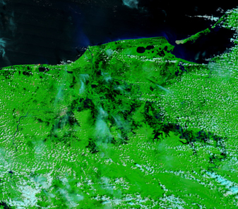 Modis image of the day