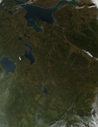 Modis image of the day