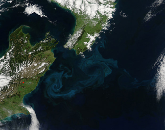 Modis image of the day