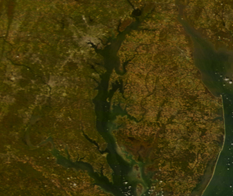 Modis image of the day
