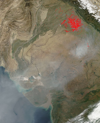 Modis image of the day