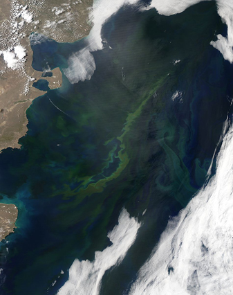 Modis image of the day