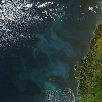 Modis image of the day