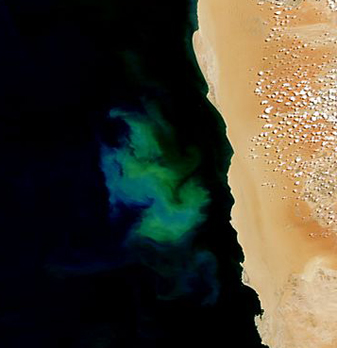 Modis image of the day