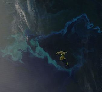 Modis image of the day