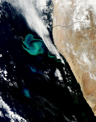 Modis image of the day