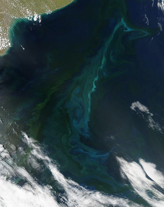 Modis image of the day