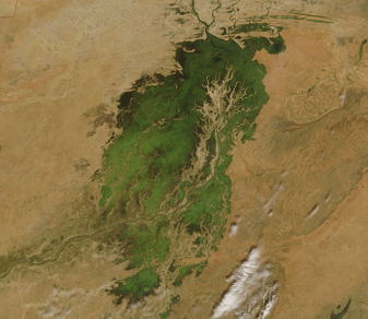 Modis image of the day