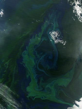 Modis image of the day
