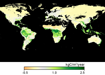 Modis image of the day