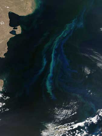 Modis image of the day