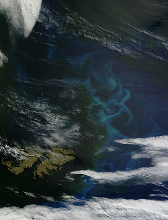 Modis image of the day