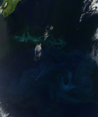 Modis image of the day