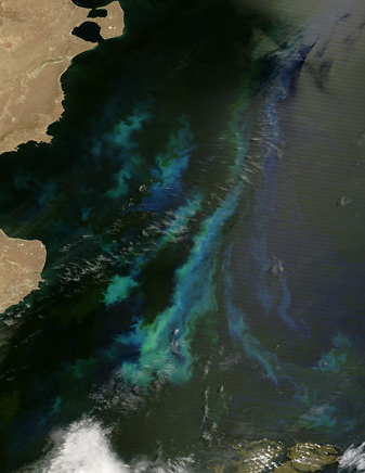 Modis image of the day
