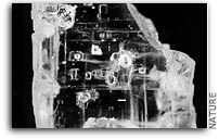 Salt Crystals