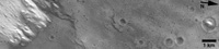 filename or other identifier