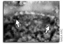 magnetite crystals