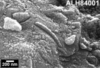 ALH84001 - Click for a larger View!