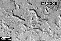 ALH84001 - Click for a larger View!
