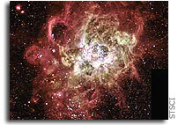 Firestorm of Star Birth Seen in Local Galaxy