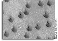 Fortune Cookie Sand Dunes 