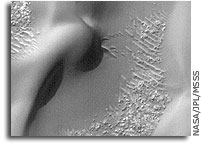 NASA Mars Picture of the Day: Windblown Sand Dunes 