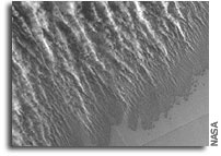 Martian Polar Dust Storm