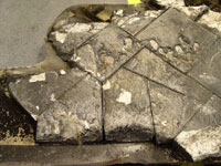 left wing underside