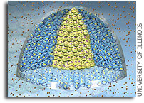 Metallic phase for bosons implies new state of matter